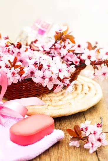aromatherapy_001077